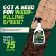 thumbnail image 3 of Herbicida Ortho 709 ml (2 unidades) listo para usar, 3 of 9