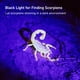 thumbnail image 4 of Linterna Uv Linterna Uv De Luz Negra 100 Led, 4 of 6