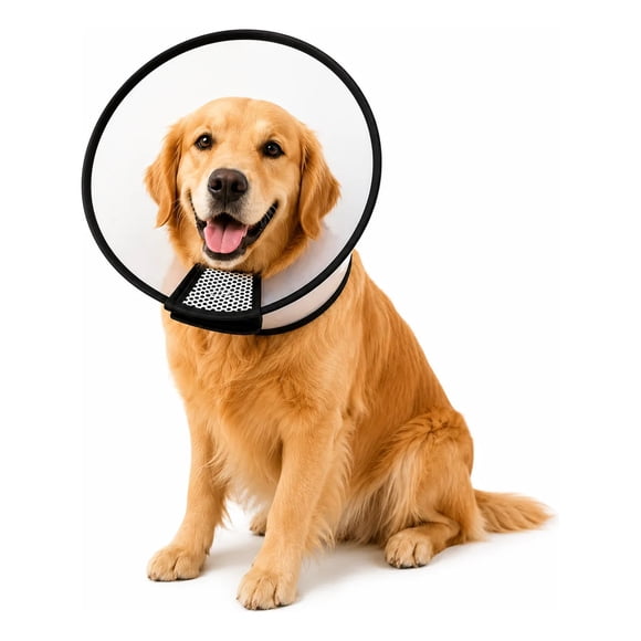 Collar Cono Isabelino Mascotas Recuperacion Antilamido Collar Isabelino Recuperacion Quirurgica Mascotas Grandes Protector Veterinario Ajustable Premium Talla 2 Grande Mascotas Perros Gatos...