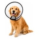 thumbnail image 1 of Collar Cono Isabelino Mascotas Recuperacion Antilamido Collar Isabelino Recuperacion Quirurgica Mascotas Grandes Protector Veterinario Ajustable Premium Talla 2 Grande Mascotas Perros Gatos..., 1 of 9