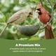 thumbnail image 2 of Alimento para aves Kaytee Ultimate de nueces y frutas 4,4 kg, 2 of 9