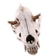 thumbnail image 1 of Réplica De Resina De Calavera Realista Falsa, Modelo De Esqueleto De Cabeza De Enseñanza, Acuario 6, 1 of 5