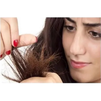 Genérico - Cortador De Puntas Quita Horquetillas