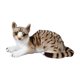 thumbnail image 2 of Juguete De Peluche De Gato Para Decoración De Habitación Infantil, Mu?eco De Gato Acurrucable Para Adultos, Ni?os Y Ni?as, Gris, 25 Cm, 2 of 5