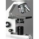 thumbnail image 4 of Microscopio AmScope B100B con aumento de 2000X, 4 of 5