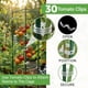 thumbnail image 4 of Tutor para tomate K-Brands de 68 pulgadas de alto para verduras (paquete de 6), 4 of 9