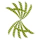thumbnail image 1 of Plumas Para Flechas Fiocias 3" Amarillo Fluorescente 12 Piezas, 1 of 5