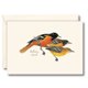 thumbnail image 1 of Juego de tarjetas de notas Earth Sky + Water – 8 tarjetas – Oriol de Baltimore, 1 of 3