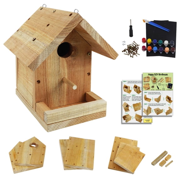 Kit de casita para pájaros DIY Pontuss de madera con set de pintura