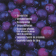thumbnail image 3 of Caja 12 barritas de proteína veganas Patagonian Berries 65 g Brota, 3 of 6