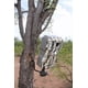 thumbnail image 3 of Paquete de 4 soportes para cámara Trail Hunting Made Easy HME, 3 of 3