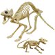 thumbnail image 1 of Decoración de Halloween con forma de esqueleto de gato y rata MEKBOK, 1 of 7
