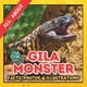 thumbnail image 1 of Libro Majosta: datos, fotos e ilustraciones sobre el monstruo de Gila, 1 of 1