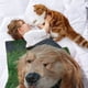 thumbnail image 2 of Golden Retriever anti-pilling, suave, ligera, esponjosa y acogedora de lujo para hogar y cocina – Perfecta para niños y adultos,120X80cm, 2 of 6
