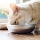 thumbnail image 3 of Cuenco para Gato Americat Company 14 cm Acero Inoxidable, 3 of 7