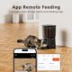 thumbnail image 3 of Comedero automático Petrice para gatos 4 L con cámara WiFi, 3 of 3