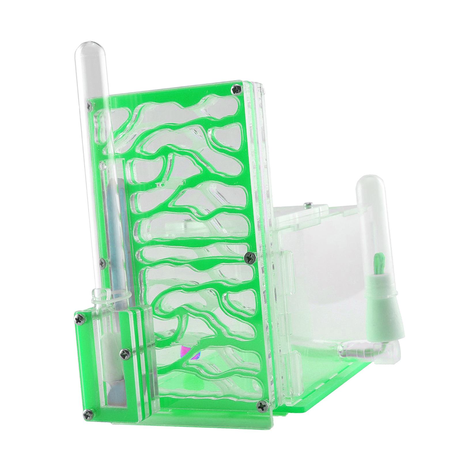 Ioensy - Nido De Hormigas Transparente, Resistente A La Humedad, Para Casa, Dormitorio, Cocina, Color Verde