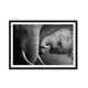 thumbnail image 1 of Cuadro Elefantes Familia con Marco Negro 50x40 CM, 1 of 1