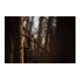 thumbnail image 4 of Paquete de 4 Soportes Stealth Cam Eco con Lector de Tarjetas, 4 of 9