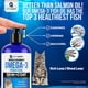 thumbnail image 4 of Aceite De Pescado Omega 3 Para Gatos Plano Paws Mejor Que El Aceite De Salmón, 4 of 8