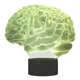 thumbnail image 2 of 0x Decoraciones De Halloween 3d Cerebelo Humano Mod 3622, 2 of 5