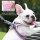 thumbnail image 4 of Arnés antitirones para perros pequeños, malla transpirable, reflectante, ajustable, para cachorros, gatos, conejos, ratones y gatos, color rosa, talla XS, 4 of 6