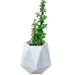 Wakeshome - Macetero De Plastico Moderno Ancho 17Cm Alto 30Cm