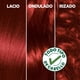 thumbnail image 5 of Coloración Nutrisse Cabello 6646 Cobrizo Rubí, 5 of 7