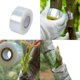 thumbnail image 4 of 5 Cintas De Amarre Para Utilizar En Injerto De Plantas, 4 of 4