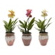 thumbnail image 5 of Planta Artificial Orquidea Rosada Macetero De Ceramica, 5 of 6