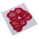 thumbnail image 1 of 10 Piezas De Flores Prensadas Secas Para Manualidades De álbum De Recortes Para Bricolaje Rosa Roja, 1 of 3