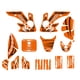 thumbnail image 2 of Pegatinas Bravedog para CRF50 Pit Bike DE59 impermeables, 2 of 5