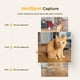 thumbnail image 3 of Comedero automático inteligente para gatos y fuente de agua ARENTI 4L, 3 of 9