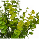 thumbnail image 3 of Ramo eucalipto jinqian 38 cm planta artificial, 3 of 3