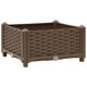 thumbnail image 1 of Cama elevada VidaXL de polipropileno, 40 x 40 x 23 cm, color marrón, 1 of 8
