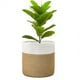 thumbnail image 2 of Cesta de cuerda resistente para plantas, moderna cesta tejida para macetas de interior, organizador de almacenamiento, decoración rústica para el hogar., 2 of 8
