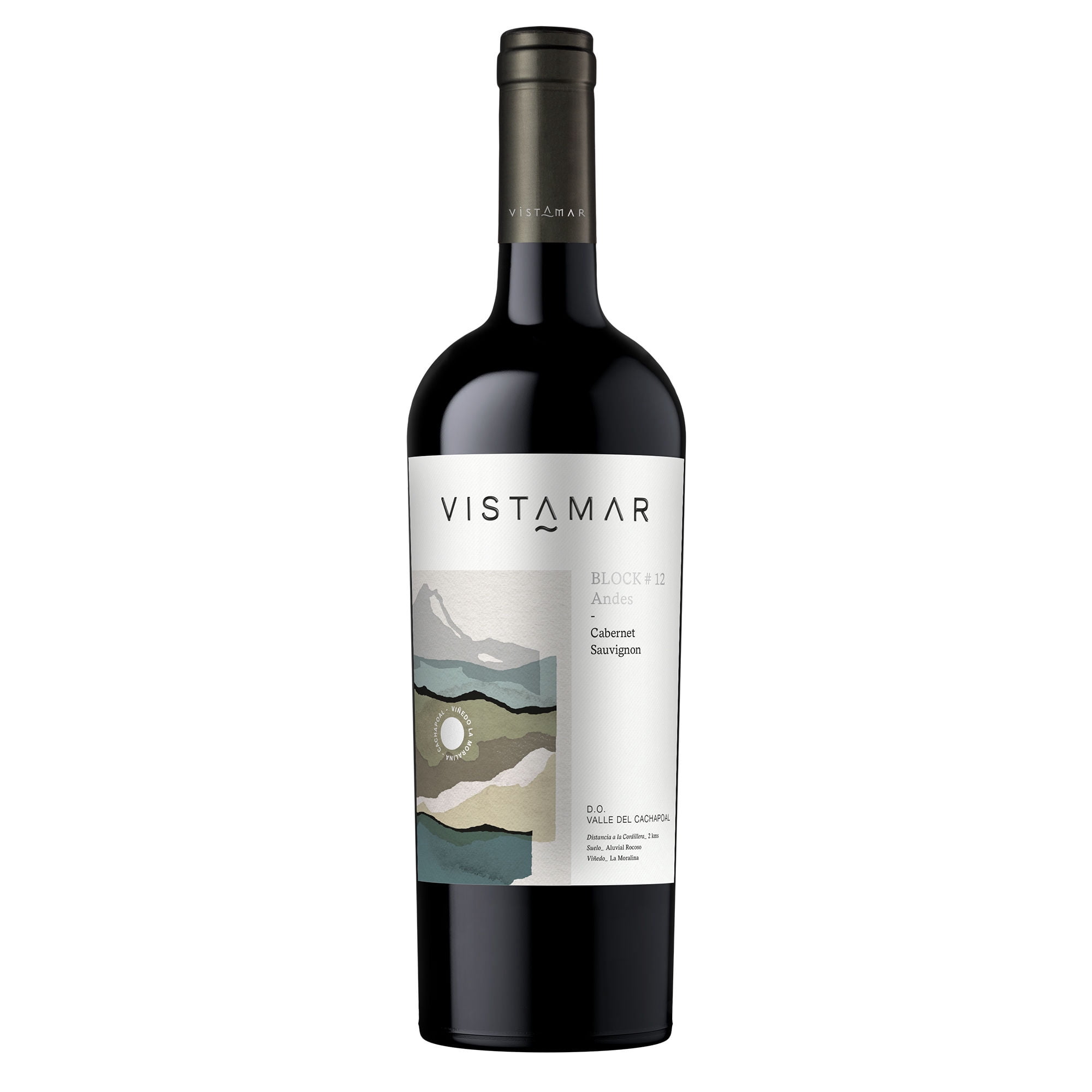 Vino Cabernet Sauvignon Botella 750 mL Vistamar