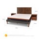 thumbnail image 3 of Cama Europea Curve Bee Comfort 2 Plazas Bd Antique S/T, 3 of 11