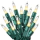 thumbnail image 1 of Luces para árbol de Navidad PREXTEX de 10 pies, blanco cálido, 50 luces, 1 of 8