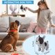 thumbnail image 5 of Juguete de peluche para perro Letsmeet con chirrido y crujido – Tamaño pequeño/mediano, 5 of 7