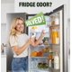thumbnail image 5 of Desodorante para Refrigerador FLAWNT Acero Inoxidable Blanco, 5 of 7