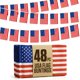 thumbnail image 1 of Guirnalda de banderines de la bandera de EE. UU. 15 m – 48 unidades – Jester Fiesta, 1 of 6