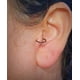 thumbnail image 3 of Set 4 Piercing Septum Negro Aros Nostril Daith Tragus Helix, 3 of 3