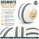 thumbnail image 3 of Bola de Cricket de Cuero Growmite Blanca de 4 Piezas con Costura a Mano, 3 of 8