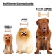 thumbnail image 5 of Juguete masticable para perros Bullibone sabor tocino, pack de 2, para razas pequeñas a medianas, 5 of 8