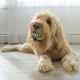 thumbnail image 3 of TRIO DIFERENTE PELOTAS SONRISA KONG, 3 of 6
