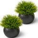 thumbnail image 1 of Plantas artificiales SEEKO suculentas 17 cm (2 unidades) macetas negras, 1 of 6