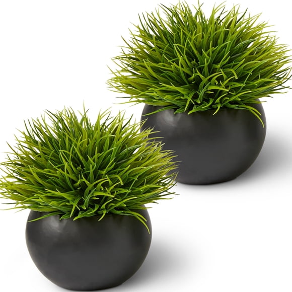 Plantas artificiales SEEKO suculentas 17 cm (2 unidades) macetas negras