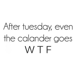 Rienda Libre Graphics - Decomural Calendar Goes Wtf Funny Ws-43070