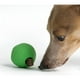 thumbnail image 3 of Beco Dog Ball Rellenable Goma Natural Para Perro Talla M verde, 3 of 5